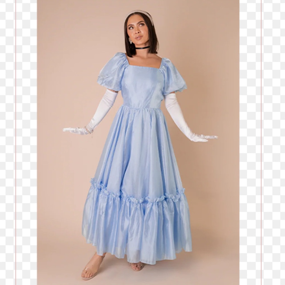 EUC IVY CITY CO WONDERLAND DRESS